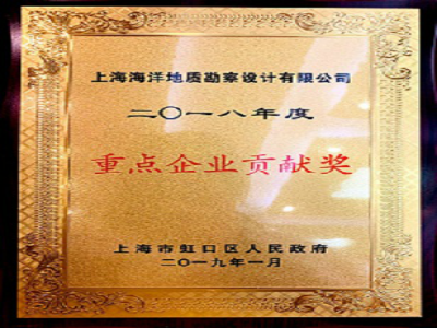 重點(diǎn)企業(yè)貢獻(xiàn)獎(jiǎng)